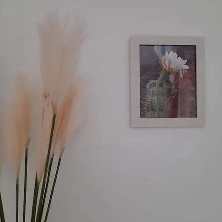 La Palmera - 2 Bedroom - Playa Roca Sea Front Access - Pool View - Free Ac - Wifi Коста-Тегисе