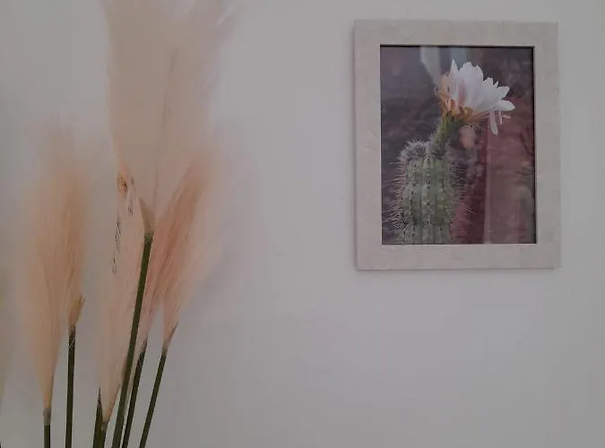 La Palmera: Beachfront With Pool View Costa Teguise